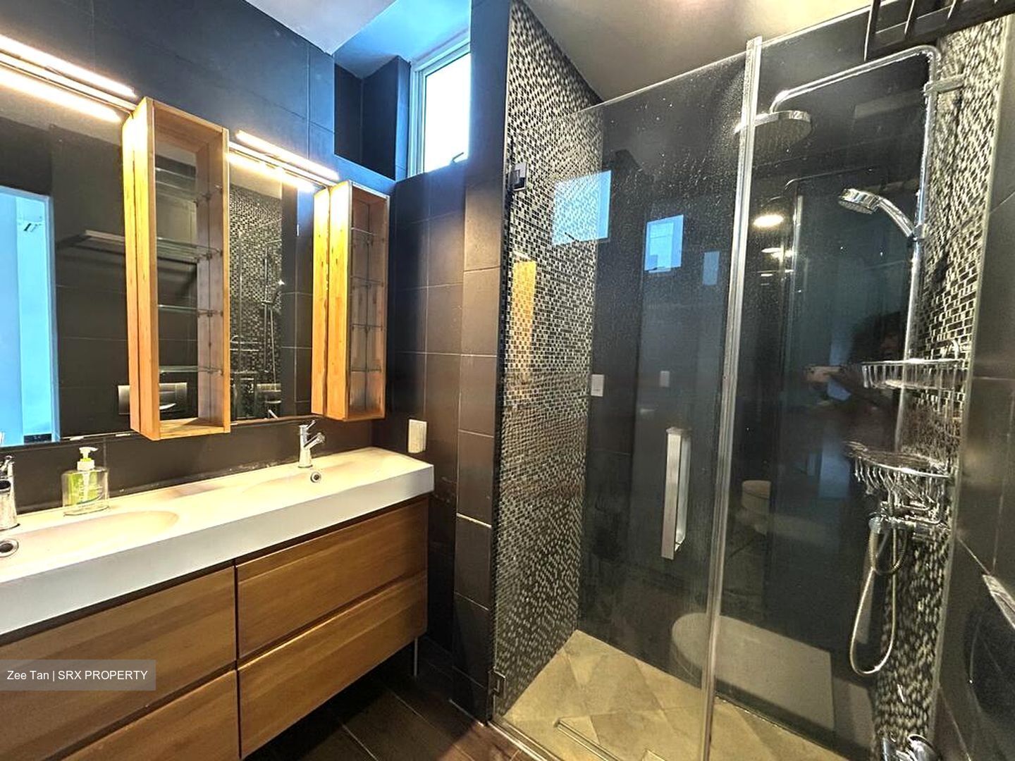 Harvest Mansions (D3), Apartment #469135801